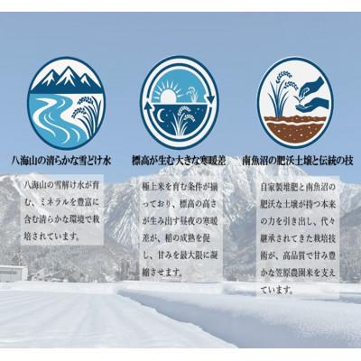 ふるさと納税 南魚沼市 南魚沼産 笠原農園米 新之助 5kg |  | 02