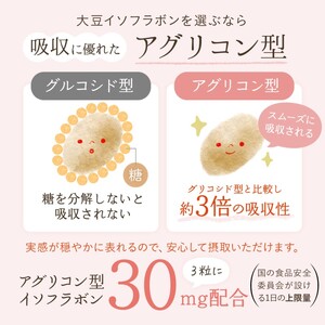 サプリメント ルミエル プレエクオール 30日分 6袋セット アグリコン型大豆イソフラボン マルチビタミン 女性のゆらぎをケア