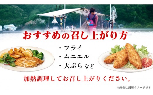 瀬戸内海産 小鯛のフィレ 3枚～5枚程度 ×10P (計30～50枚程度) 冷凍配送 天然 真鯛 生 加熱なし 三枚おろし 下処理不要 冷凍配送 国産 広島 送料無料 産地直送 お取り寄せ [OK39