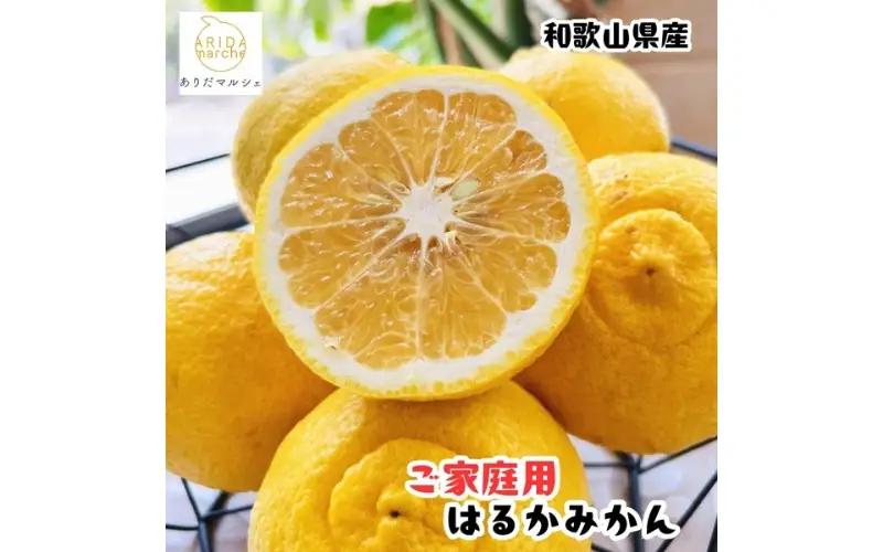 【先行予約】【人気柑橘】 有田育ちの はるか みかん（訳あり 家庭用）約3kg+200g(傷み補償分) ※2027年1月下旬～3月下旬に順次発送予定 ※着日指定不可【ard141B】