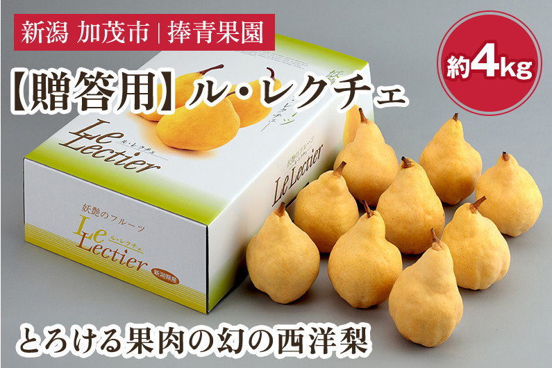 
            【2025年先行予約】【贈答用】西洋梨 ル・レクチェ 約4kg（9〜12玉） 《11月下旬以降発送》 幻の西洋梨 果実 フルーツ 冬の味覚 加茂市 捧青果園
          