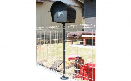 郵便 ポスト 鉄製 アイアンポスト 縁結び黒の葡萄 ネーム入り