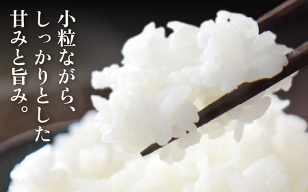 【生活応援米】定期便 ≪3ヶ月連続お届け≫令和7年産 特別栽培米5kg × 3回（計15kg）【白米】 農薬5割減 [e81-c001_01]