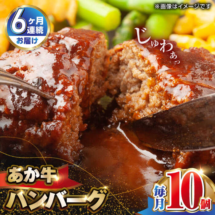 【2025年2月~順次発送】【ふるさと納税】【全6回定期便】肥後の赤牛 ハンバーグ 150g×10個 熊本県産 牛肉100％ 赤牛 ジューシーハンバーグ あかうし はんばーぐ 国産ハンバーグ 国産 和牛 ハンバーグ 惣菜 おかず 牛肉 熊本 定期便【山都町（阿蘇牧場）】[YDF012]