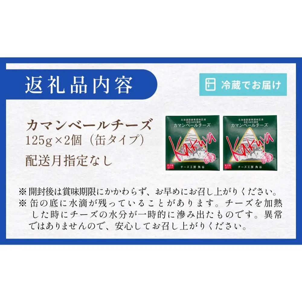 【配送月指定なし】 カマンベールチーズ 2個 缶タイプ チーズ工房角谷 KAKUYA カマンベール 配送月指定
