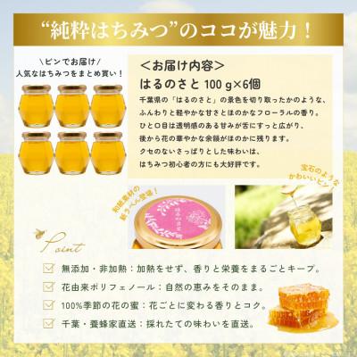 ふるさと納税 大網白里市 【数量限定】大網白里育ちの「純粋はちみつ」はるのさと(百花蜜)100g6個 |  | 03