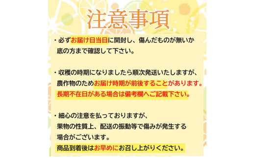 【早期予約 5月中旬～発送】 【 超訳あり 】 小夏 ( 日向夏 ) 5kg 産地直送 ニューサマーオレンジ マル 等級  旬 高知 県 須崎 産  柑橘 初夏 フルーツ 果物 こなつ コナツ ひゅう