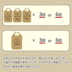 【定期便】訳あり 米 5kg 4ヶ月 京都丹波米 こしひかり 白米 4回定期便 5kg×4回 計20kg ※精米したてをお届け《緊急支援 米・食味鑑定士 厳選 コシヒカリ 京都丹波産 特Ａ 大人気お米