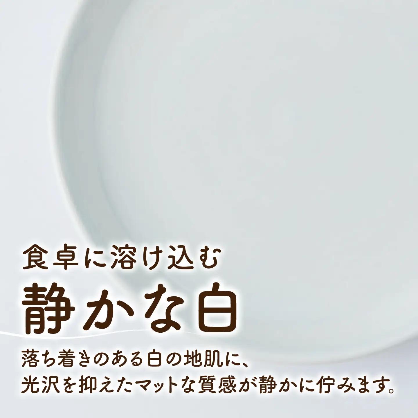 砥部焼 平皿 中×1個 / 砥部焼 食器 和食器 器 平皿 中皿 取り皿 おしゃれ モダン 食洗機 レンジ ペア セット 日常使い 来客用 ギフト プレゼント お祝い / 愛媛県砥部町/ひろき窯[BJ