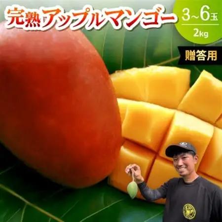 【2026年6月下旬から順次発送・贈答用】みなとばる農園の完熟アップルマンゴー2kg(3～6玉)【配送不可地域：離島】【1700018】