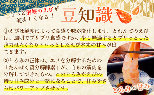 【ＡＮＡふるさと納税限定】羽幌産甘えび・ぼたんえび・いくら醤油漬けセット【9000201】