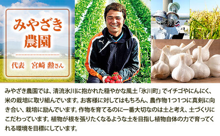 冷凍いちご 約2kg みやざき農園 熊本県 氷川町