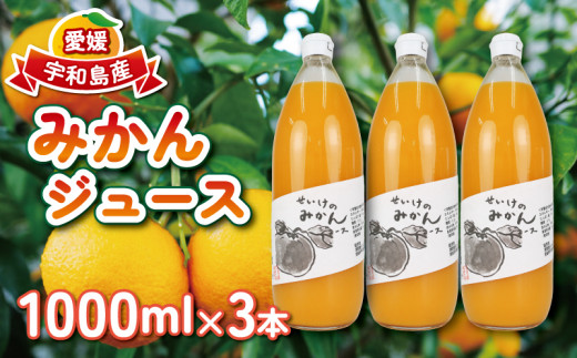 みかんジュース 1,000ml×3本 清家 100％ジュース ストレートジュース ストレート 柑橘 みかん 温州みかん ジュース mikan ミカン 爽やか 愛媛ミカン 甘い 温州 愛媛みかん 愛媛県産 果汁 飲料 果物 くだもの フルーツ 国産 愛媛 宇和島 H014-170001