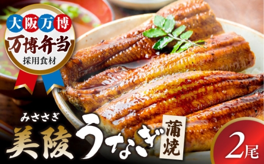【お中元対象】鰻 鰻の蒲焼 2尾 / 美陵鰻 鰻 うなぎ ウナギ 蒲焼 蒲焼き かば焼き かばやき 白焼き 白焼 しろやき しらやき 特大 肉厚 うな重 うな丼 ひつまぶし 惣菜 おかず タレ 山椒 国産 スタミナ 土用 丑の日 ギフト 美陵鰻 関西風地焼き 高級 冷凍 白焼き 国産うなぎ ギフト おすすめ 人気 / 大阪府藤井寺市/Giverichホールディングス株式会社 [BLAM003]