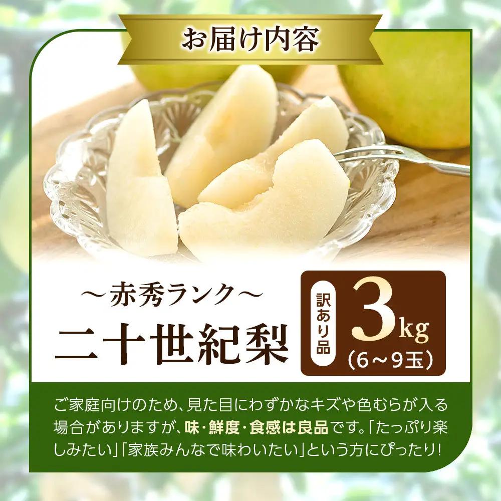 【先行予約】訳あり 二十世紀梨 3kg 梨