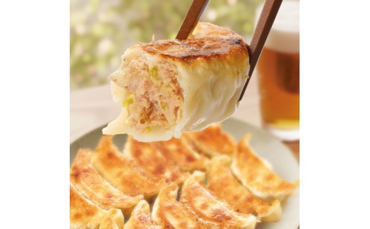 C023-25 プレミアム餃子72個（SAIBOKU×ぎょうざの満洲）