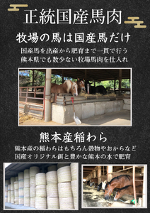 【 定期便 6回 】 純国産 馬刺し ユッケ 600g ( 150g × 4パック)