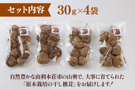 原木栽培 干ししいたけ【どんこ】30g×4袋