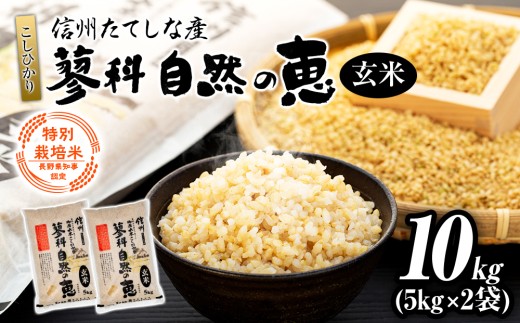 【令和8年産米】 信州たてしな産 蓼科自然の恵  (玄米)  10kg (5kg×2袋)