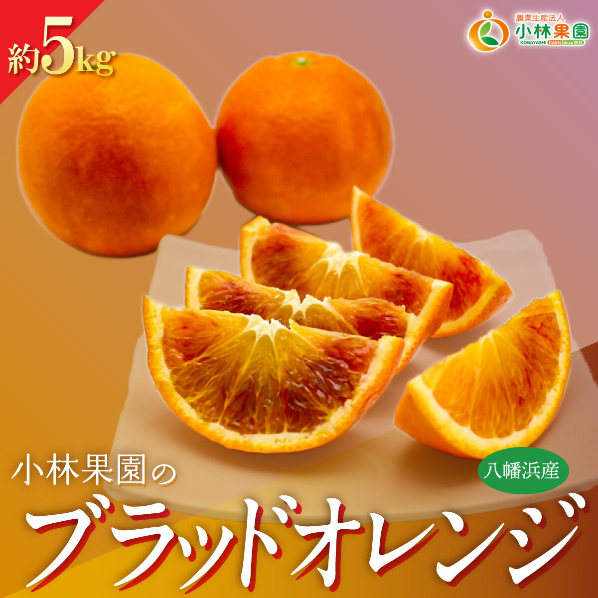 【ふるさと納税】【先行受付】小林果園のブラッドオレンジ(約5kg)【C24-24】YWTAD017
