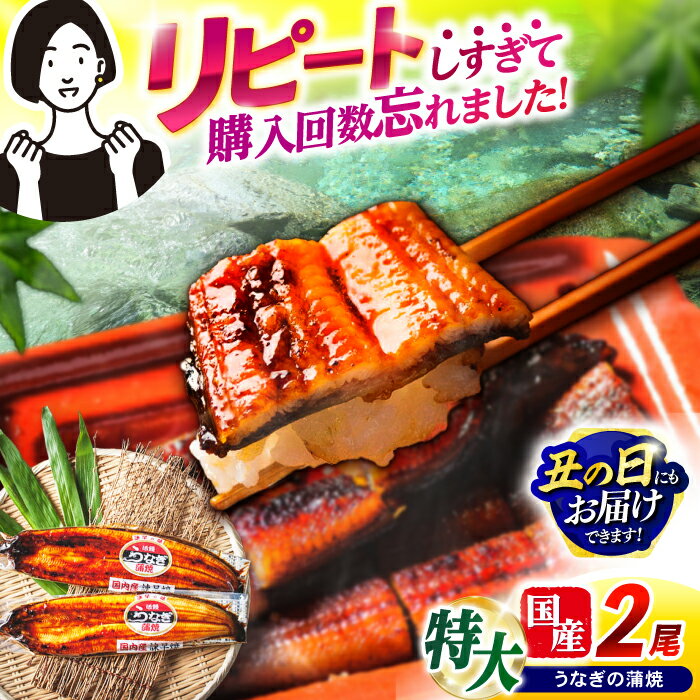 【ふるさと納税】【お中元対象】【最速発送】＜諫早淡水＞特大うなぎ蒲焼2尾 / うなぎ ウナギ 鰻 unagi 蒲焼き 蒲焼 国産 特大 冷凍 うな重 うな丼 ひつまぶし / 諫早市 / 活うなぎ問屋 諫早淡水 [AHAT014] 最短 最速 スピード 発送 丑の日 土用丑の日