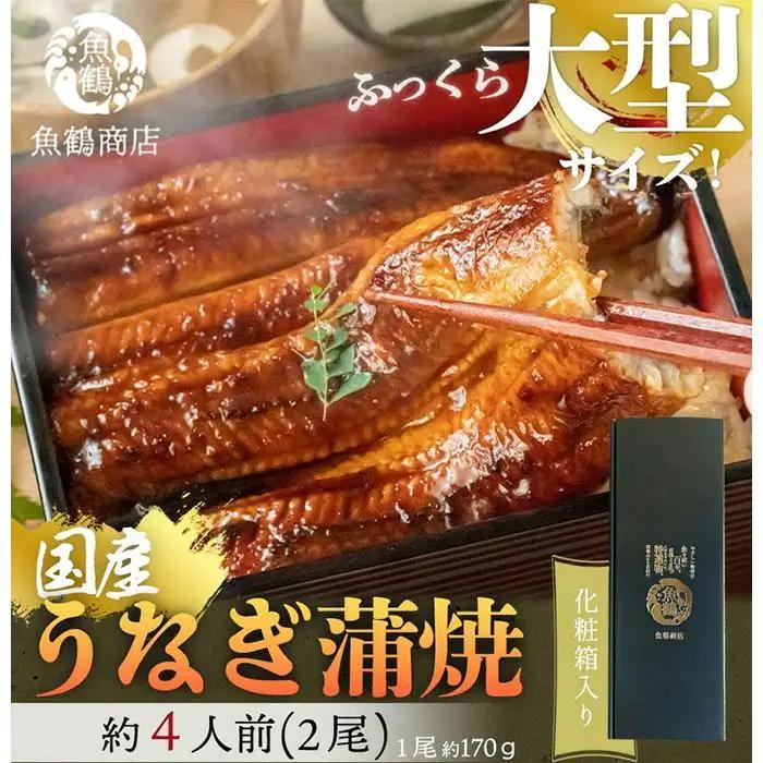 大型サイズ　ふっくら柔らか　国産うなぎ蒲焼き　2尾　化粧箱入【土用の丑の日のうなぎ】【～7月24日までにお届け】【UT05】