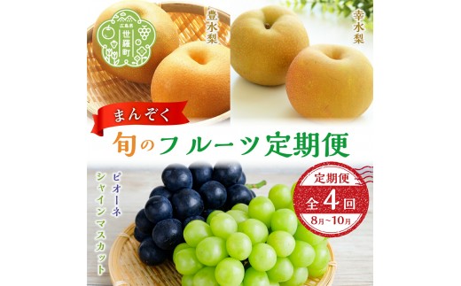 
                  【ふるさと納税】まんぞく旬のフルーツ定期便《8月-10月 合計4回発送》【数量限定】くだもの フルーツ 果物 葡萄 ぶどう 梨 幸水 豊水 ピオーネ シャイン マスカット 世羅 A102-02
                