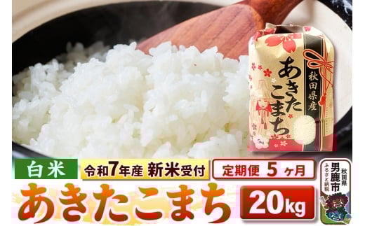 《令和7年産 新米受付》《定期便5ヶ月》【白米】秋田県産 あきたこまち 20kg（5kg×4袋）