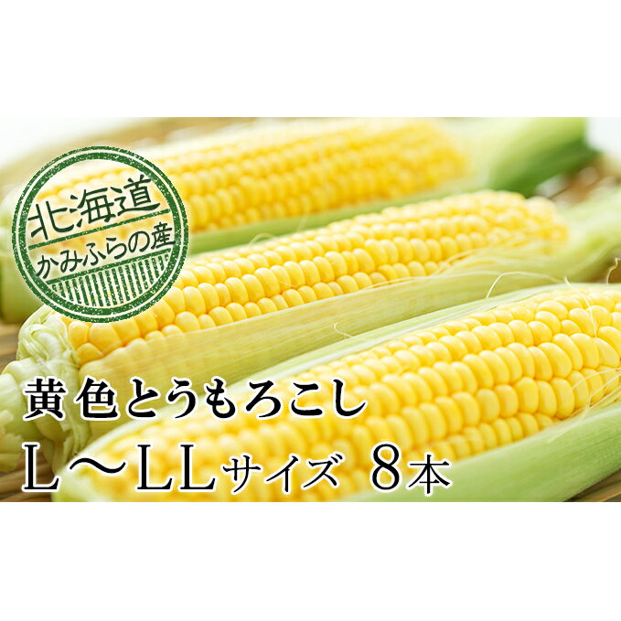 【ふるさと納税】【令和8年産】朝採り【黄いとうもろこし】L～LL 8本セット≪北海道上富良野町産≫ 野菜 トウモロコシ 　お届け：2026年7月10日～8月末頃