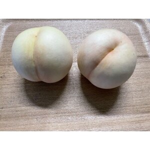 【2025年8月下旬より順次発送予定】しっかりした果肉と果汁たっぷりの岡山の白桃・瀬戸内　1.5kg【配送不可地域：離島】【1605163】