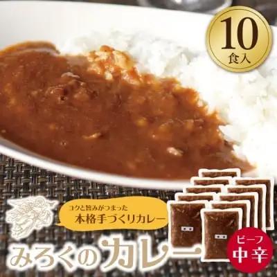 Z27-02 寄附額改定↓↓ みろくのカレー10食（中辛） カレー