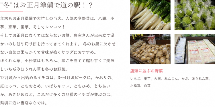 【定期便３か月】道の駅まくらがの里古河　季節の新鮮野菜おまかせBセット_BQ06 ※北海道・沖縄・離島への配送不可