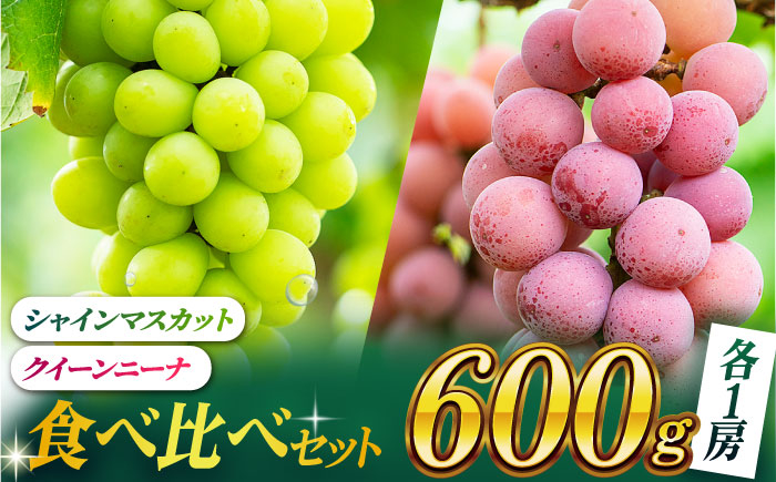 
                  【2026年発送先行予約】シャインマスカット ＆ クイーンニーナ 食べ比べセット 約600g 各一房 【合同会社 社方園】甘い 果物 くだもの 詰め合わせ デザート フルーツ 旬のフルーツ 葡萄 ぶどう ブドウ 産地直送 農家直送 熊本県 熊本 山鹿市 [ZBZ036]
                
