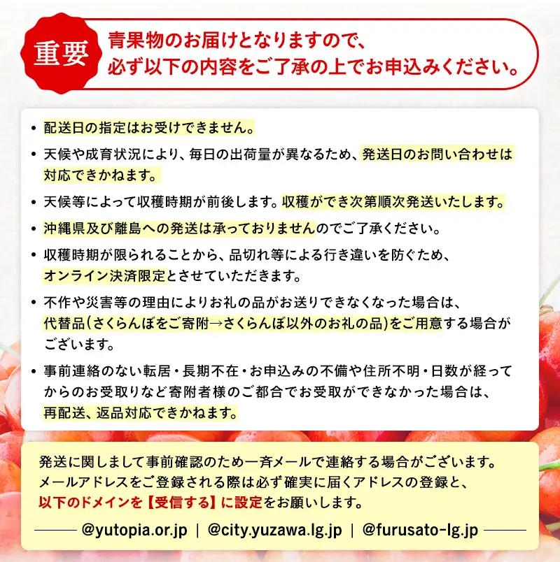 三関産 さくらんぼ 紅秀峰 500g (250g×2) 2L以上 さくらんぼ 秋田県産 小分け さくらんぼ 佐藤錦 さくらんぼ バラ詰め さくらんぼ フルーツ さくらんぼ【藤利果樹園】[B5-1460