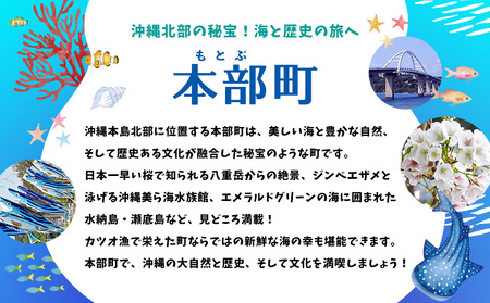 HISふるさと納税クーポン（沖縄県本部町）6万円分 観光 