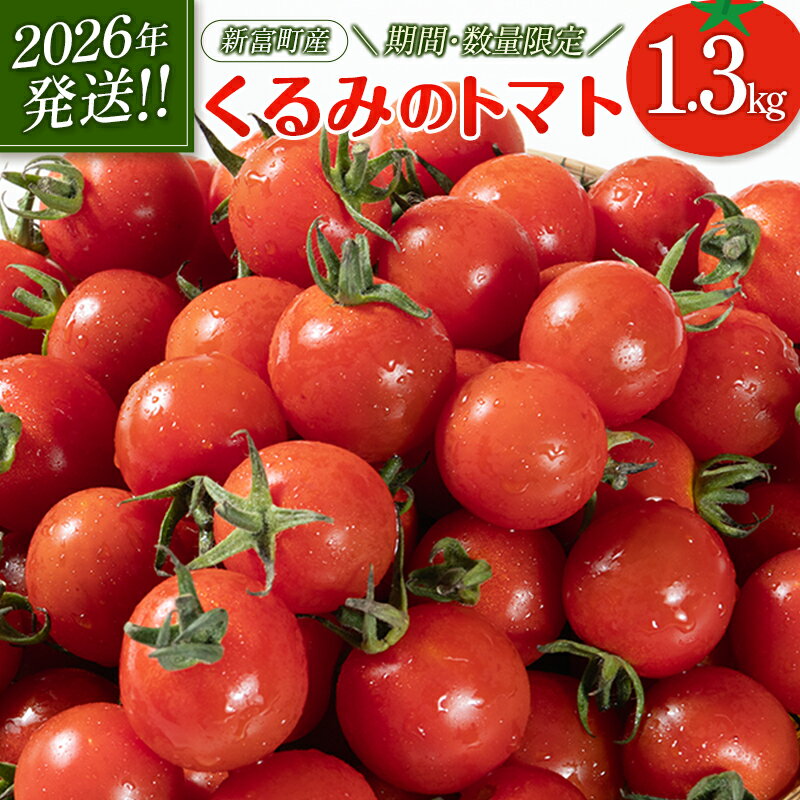 【ふるさと納税】＜期間・数量限定＞［2026年発送］くるみのトマト 計1.3kg 宮崎県新富町産 朝採れ 野菜 フレッシュ 国産