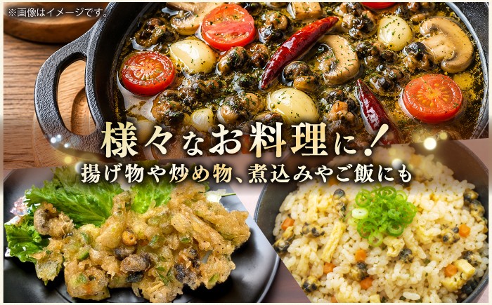 貝 おつまみ 小分け サザエ 海鮮 魚介 海の幸 珍しい 希少 セット BBQ 