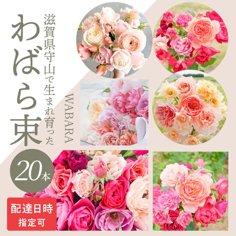 【ふるさと納税】摘みたて バラ わばら束 ブーケ 20本 選べる 配達日時 WABARA 花束 生花 贈り物 きれい 簡易包装 飾り インテリア アレンジ プレゼント 1輪挿し 丁寧な暮らし 花のある生活 お花 植物 滋賀県 守山市 お取り寄せ 送料無料