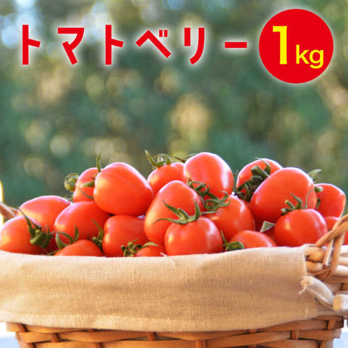 【ふるさと納税】【2025年12月～発送】トマトベリー 1kg / ミニトマト トマト トマトベリー とまと 野菜 サラダ プチトマト 野菜 産地直送 予約 1kg 送料無料 / 南島原市 / 長崎県農産品流通合同会社 [SCB029]