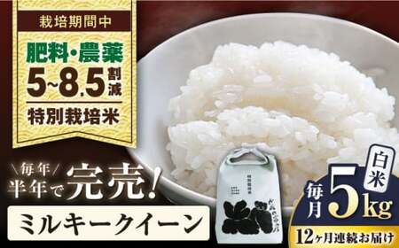 米 12回定期便ミルキークイーン 5kg 白米 新米[AQCP030] 定期便