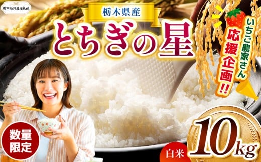 【栃木県共通返礼品】  訳あり 数量 限定 令和7年度産 とちぎの星 約 10kg| とちぎの星  白米 ごはん おいしい 品種 お米 米 おにぎり  ふるさと納税 那珂川町 栃木県