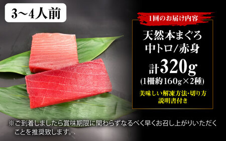 【全3回定期便】たね熟天然本まぐろ赤身＆中トロセット(320g 各160g)[AOCE040]マグロ