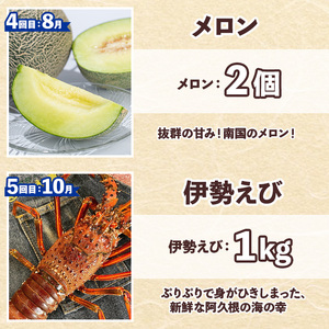 ＜定期便・全6回(偶数月)＞阿久根市の山の幸・海の幸！不知火・そら豆・タカエビ・メロン・伊勢えび・ぼんたんなど)国産 柑橘 みかん フルーツ 果物 魚介 頒布会【松永青果】a-120-5