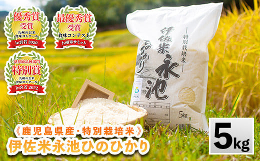 
            Z7-01 令和6年産 特別栽培米 永池ひのひかり(5kg) ふるさと納税 伊佐市 特産品 鹿児島 永池 お米 米 白米 精米 伊佐米 九州米サミット 食味コンテスト 最優秀賞受賞 ヒノヒカリ【エコファーム永池】
          