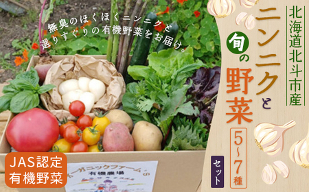 【JAS認定有機野菜】北斗市産 ニンニクと野菜5～7種類野菜セット 紙箱入(季節で種類が変更) 【 ふるさと納税 人気 おすすめ ランキング ニンニク にんにく 国産ニンニク 野菜 旬 セット 有機野菜 無農薬 有機栽培 紫アスパラ 紫からし菜 からし菜 南瓜 かぼちゃ サニーレタス ルッコラ レッドオーク レッドロメイン グリーンオーク グリーンロメイン 玉レタス 根野菜 葉物野菜 新鮮 鮮度抜群 ベジタブル アラカルト 盛り合わせ 詰め合わせ 北海道 北斗市 送料無料 】 HOKB022