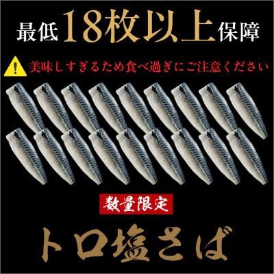 ふるさと納税 銚子市 【訳あり】トロ塩さば　3kg　18枚以上 |  | 03