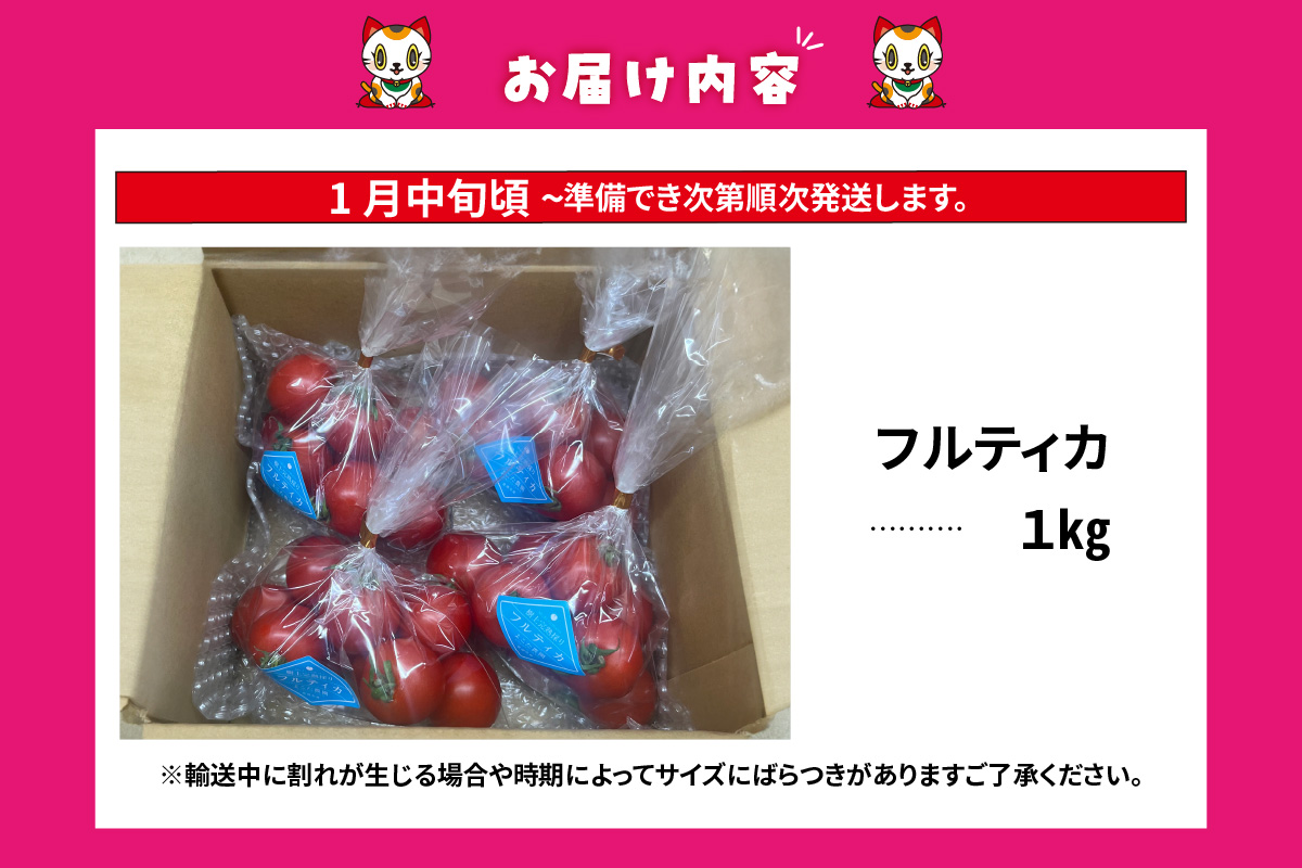 【先行予約】【2027年1月中旬以降発送】フルーツトマト　中玉フルティカ1kg│ 野菜 トマト 常滑市