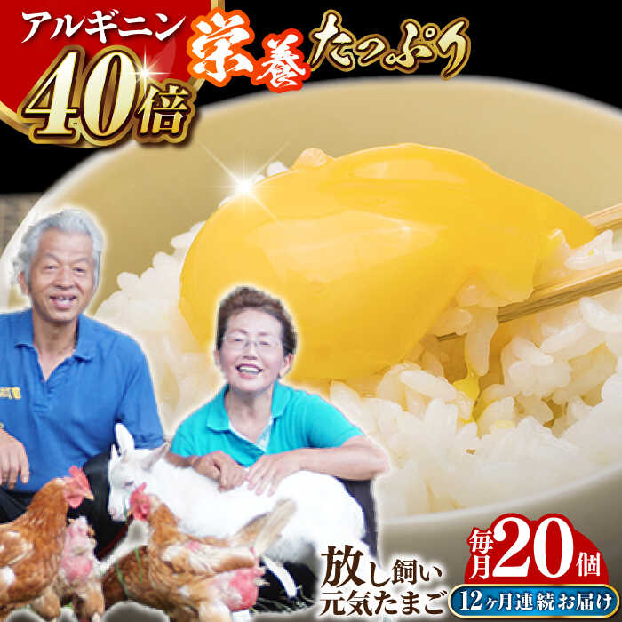 【ふるさと納税】【全12回定期便】 アルギニン 元気たまご 20個 自然栽培 【浅田峠自然塾】 [EA04] 卵 20個 たまご 鶏卵 玉子 国産 卵かけご飯 たまごかけご飯 すき焼き 目玉焼き