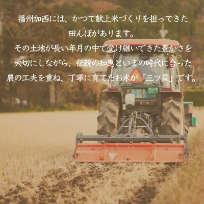 ふるさと納税 加西市 食べてみたいお米 Alatana 米 「三ツ星」 白米 10kg 精米[No5698-2685] |  | 01