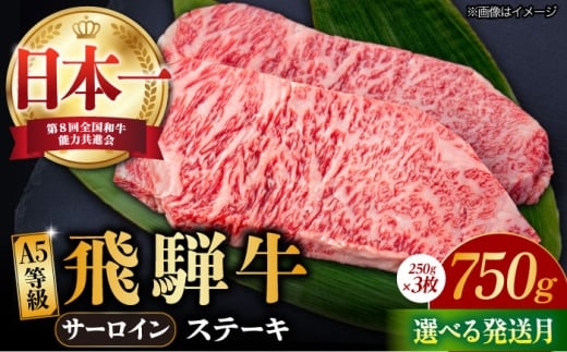 【1月発送】【飛騨牛】 A5等級 サーロイン ステーキ用 3枚 (計750g) 和牛 ブランド牛 国産 牛肉 多治見市 / 渡辺精肉店 [TAZ001-1]
